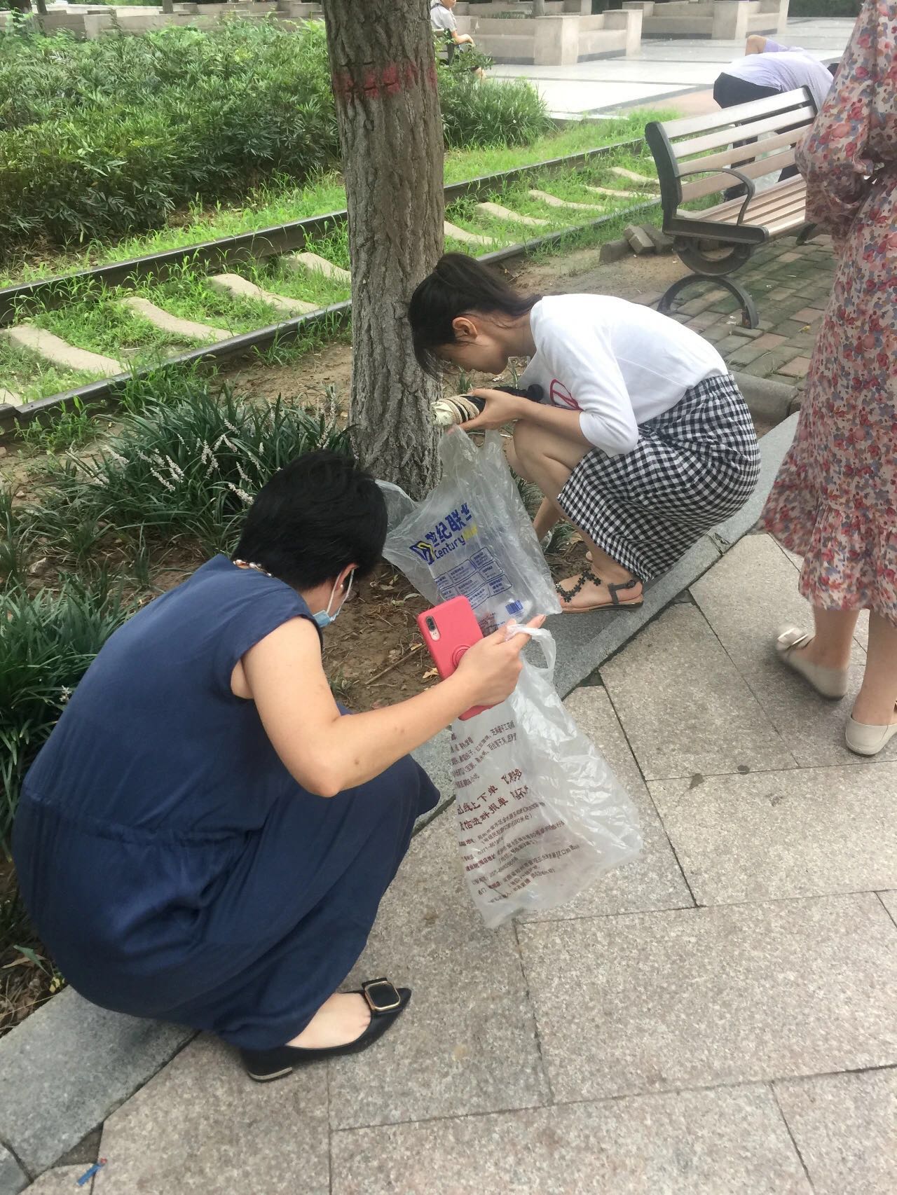 “拾垃圾 美環(huán)境 凈人心”｜德泓黨支部開展“黨員活動日”活動