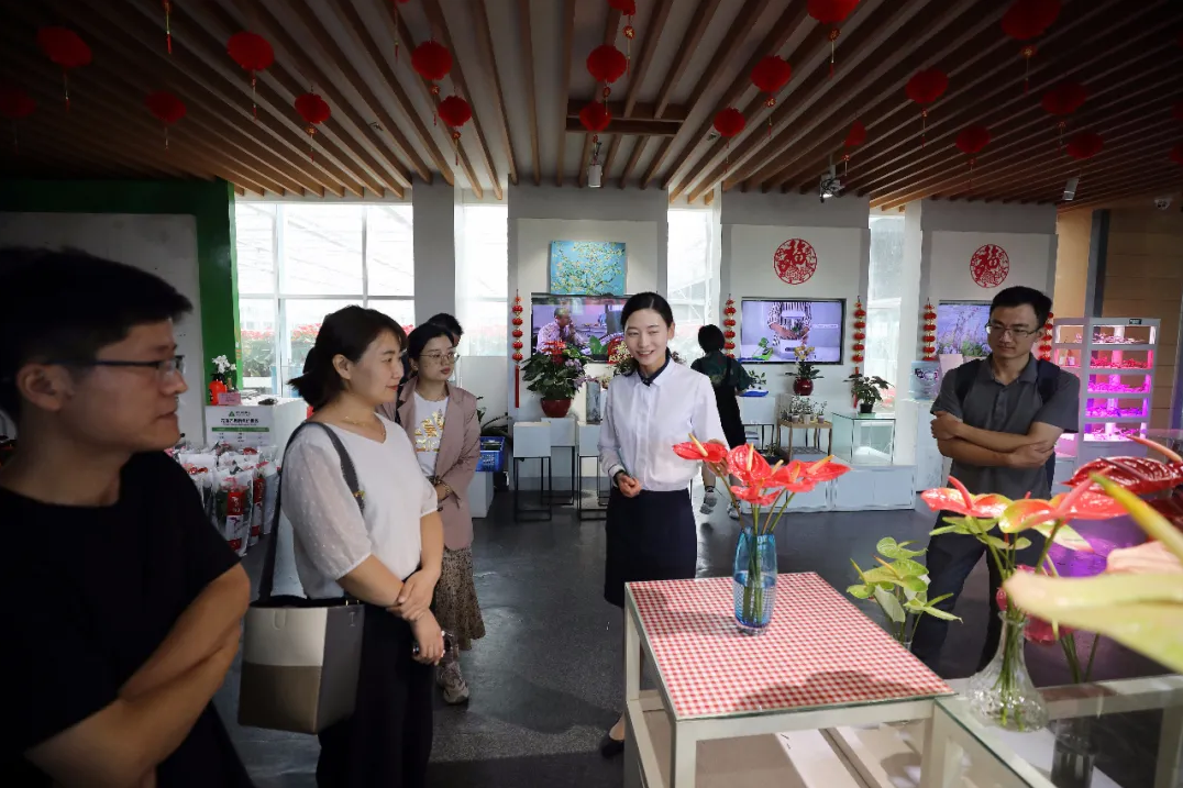 鄉(xiāng)村振興戰(zhàn)略下的田園綜合體建設(shè)——德泓咨詢走進(jìn)建業(yè)綠色基地