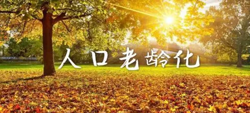 醫(yī)養(yǎng)康養(yǎng)課題研究：老齡化社會(huì)與銀色經(jīng)濟(jì)