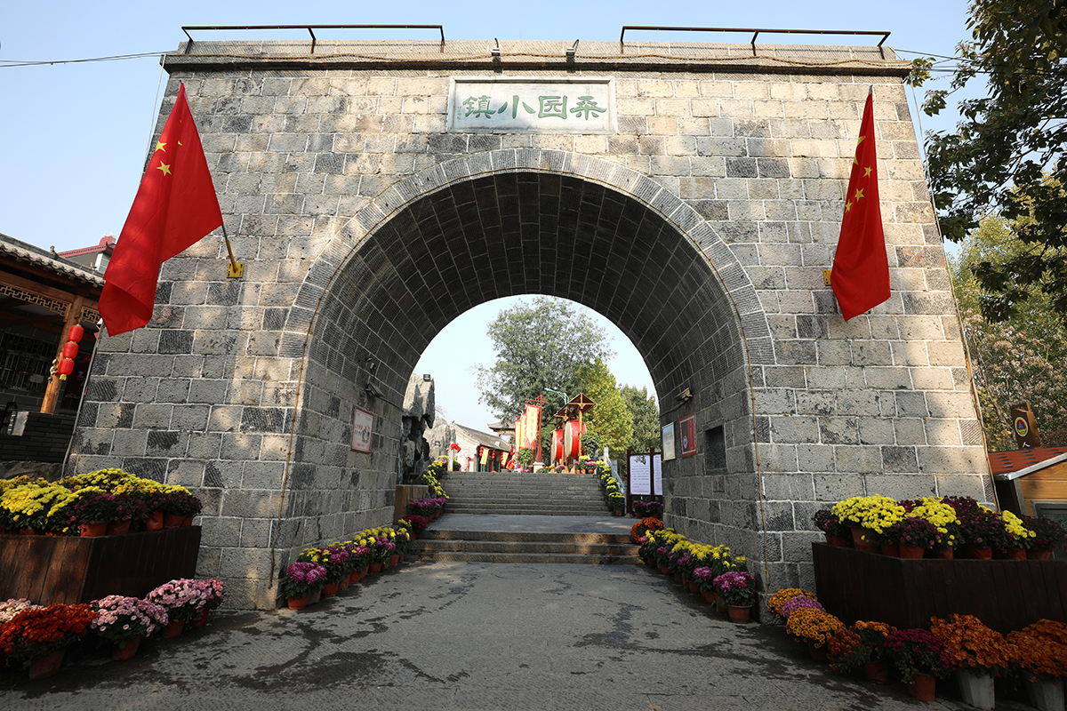 我在桑園小鎮(zhèn)打卡——德泓咨詢走進(jìn)鶴壁市桑園小鎮(zhèn)