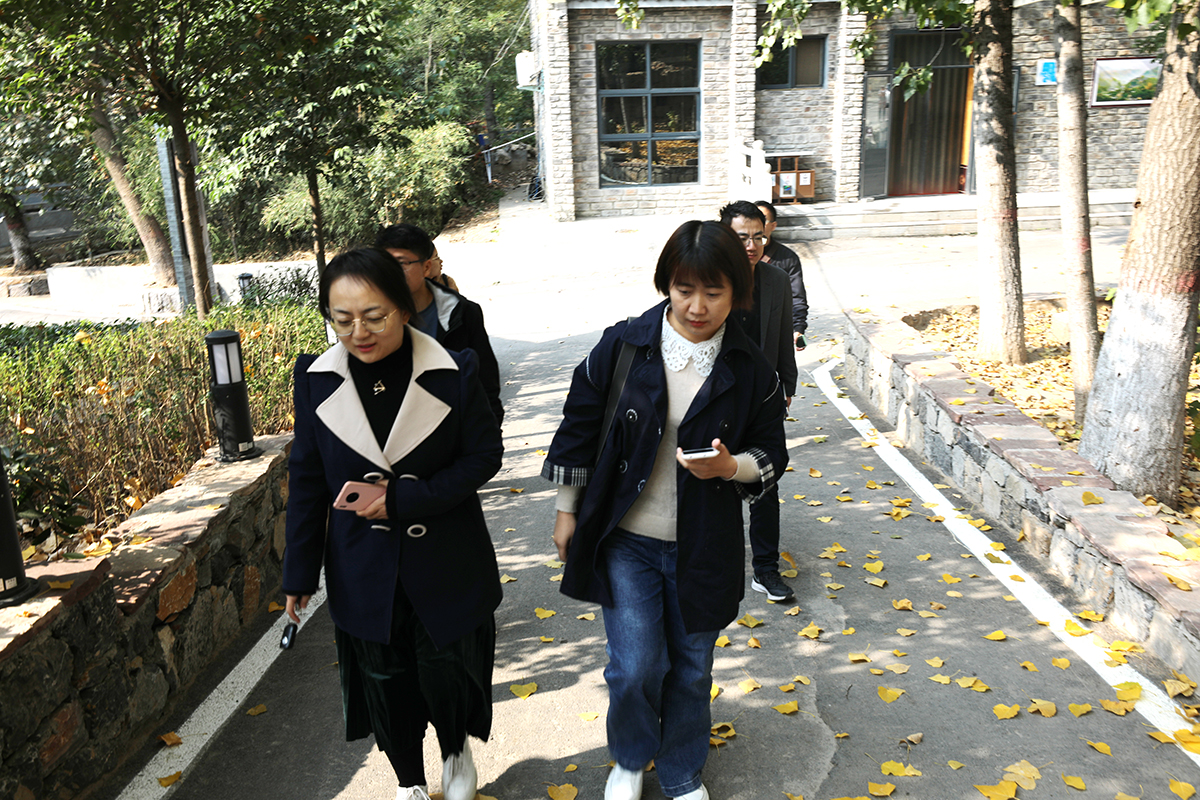 我在桑園小鎮(zhèn)打卡——德泓咨詢走進(jìn)鶴壁市桑園小鎮(zhèn)