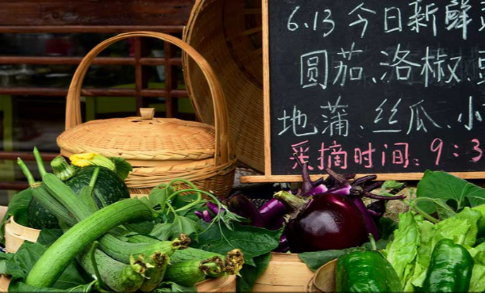 鄉(xiāng)村振興課題（八）丨鄉(xiāng)村振興項目調(diào)研之鄉(xiāng)村旅游篇——走進(jìn)烏鎮(zhèn)（烏村、西柵、互聯(lián)網(wǎng)國際會展中心）