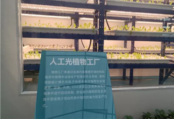 鄉(xiāng)村振興課題（五）丨鄉(xiāng)村振興項(xiàng)目操盤要點(diǎn)之農(nóng)業(yè)產(chǎn)業(yè)園篇——走進(jìn)西姜寨愛思嘉現(xiàn)代農(nóng)業(yè)產(chǎn)業(yè)園