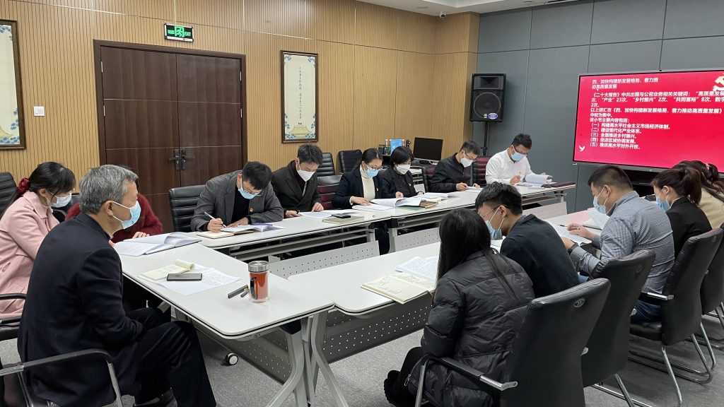 黨建動態(tài) | 德泓咨詢黨支部開展十一月主題黨日活動