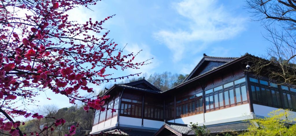 鄉(xiāng)村振興標(biāo)桿項(xiàng)目游學(xué)筆記｜?好風(fēng)憑借力——以“魯家村”為例，看田園綜合體建設(shè)的創(chuàng)新之路