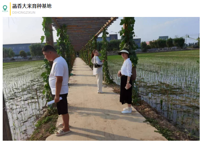 鄉(xiāng)村振興項(xiàng)目調(diào)研 | 全國(guó)鄉(xiāng)村特色產(chǎn)業(yè)億元村河南省焦作市武陟縣馬宣寨村