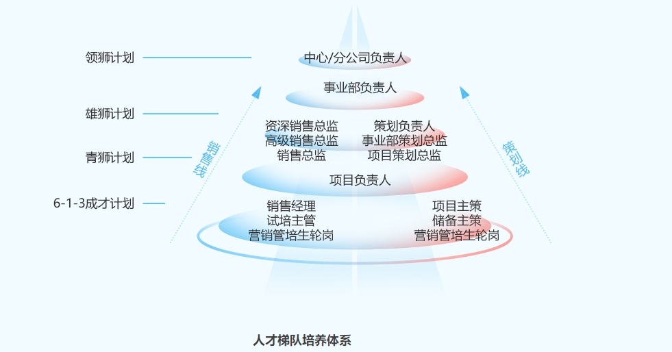 成才計劃